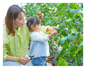 やさい畑・温室
