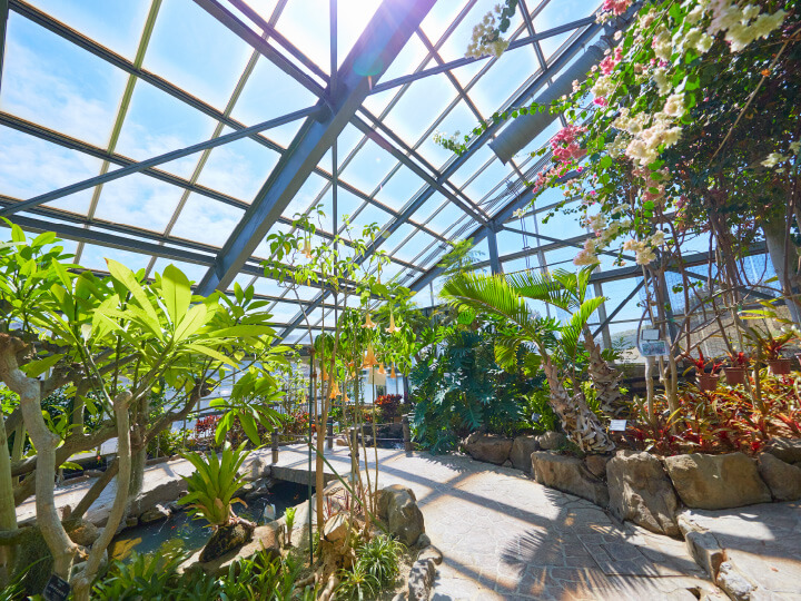 大温室