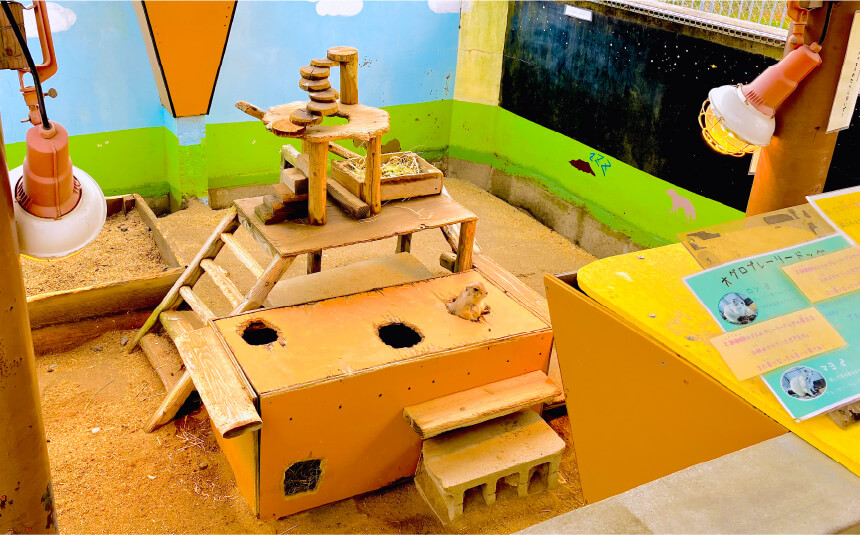 プレーリータウン