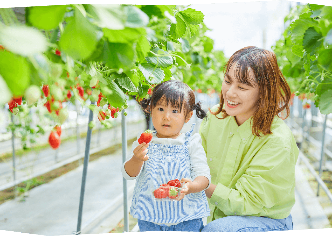 季節の野菜や果物を収穫しよう