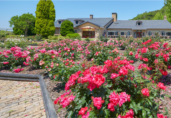バラ園