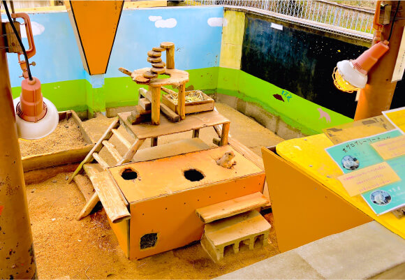 プレーリータウン