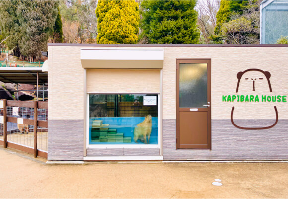 カピバラハウス